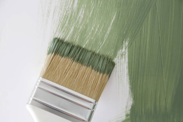 Best Water Damage & Mold Remediation  in Ozk, AR
