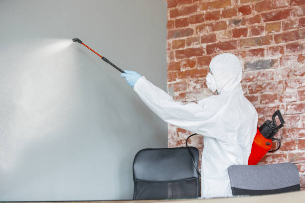 Best Mold-Related Health Consultation  in Ozk, AR