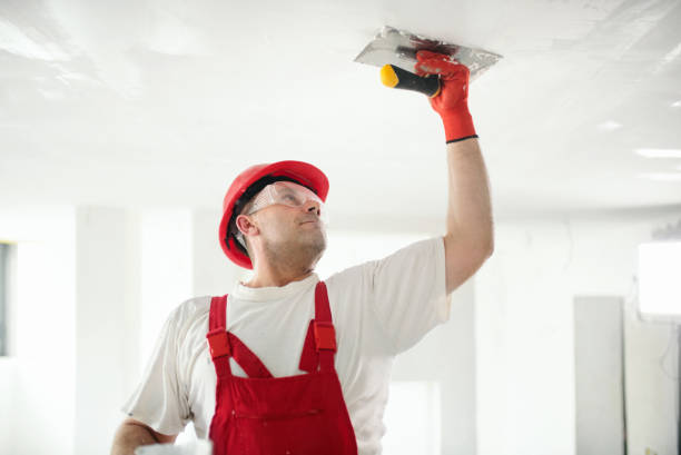 Best Forensic Mold Investigation  in Ozk, AR