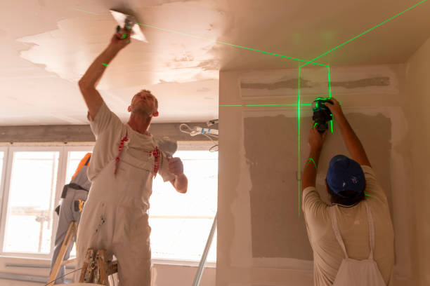 Reliable Ozark, AR Mold Removal Solutions