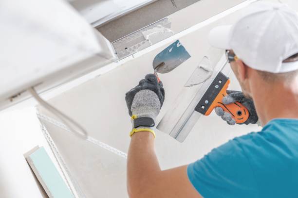 Best Attic Mold Removal  in Ozk, AR